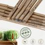 5 Seed Pencil + 5 Seed Pen (Pkt)